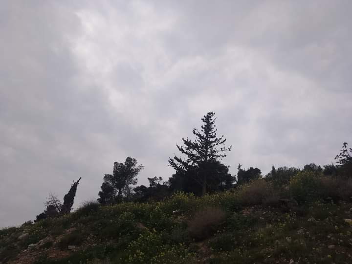 nay__90's tweet photo. الغيوم أخيراً 
تمردٌ على كل هذه النسخ المكررة من الشمس https://t.co/QYUhOfAf5K