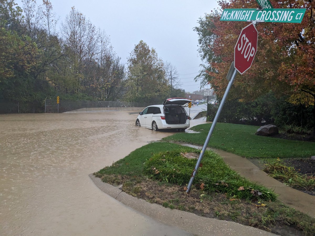 Peter Webb tweet media