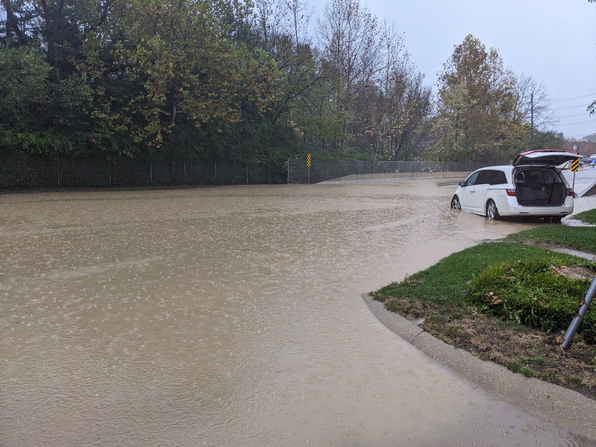 Peter Webb tweet media