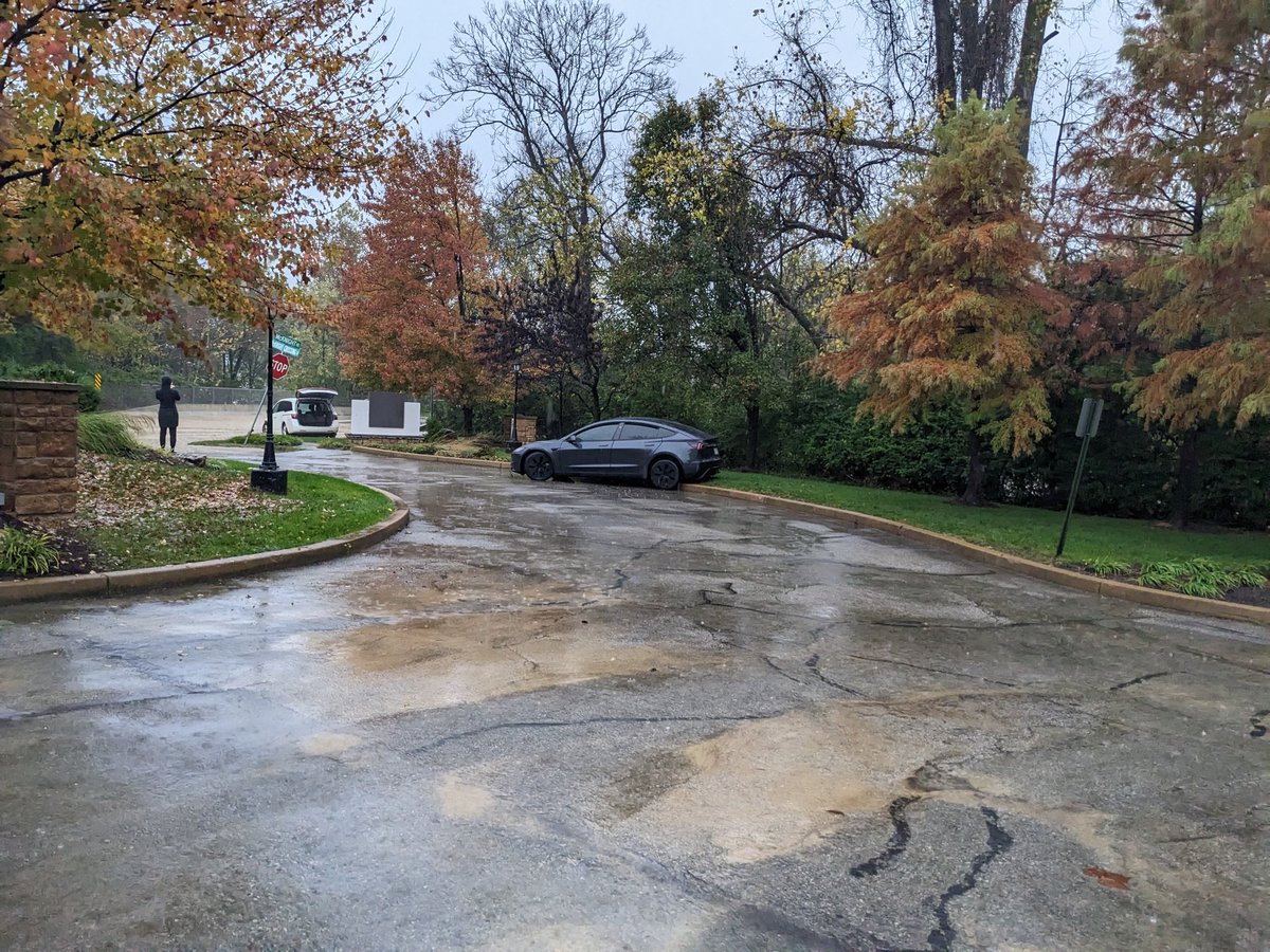 Peter Webb tweet media