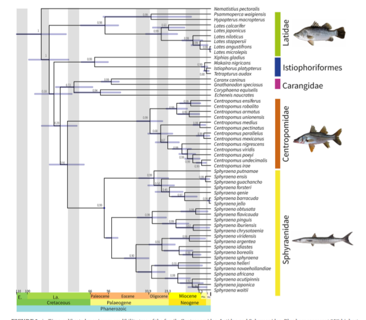 James Albert 🐟 🇺🇦 tweet media