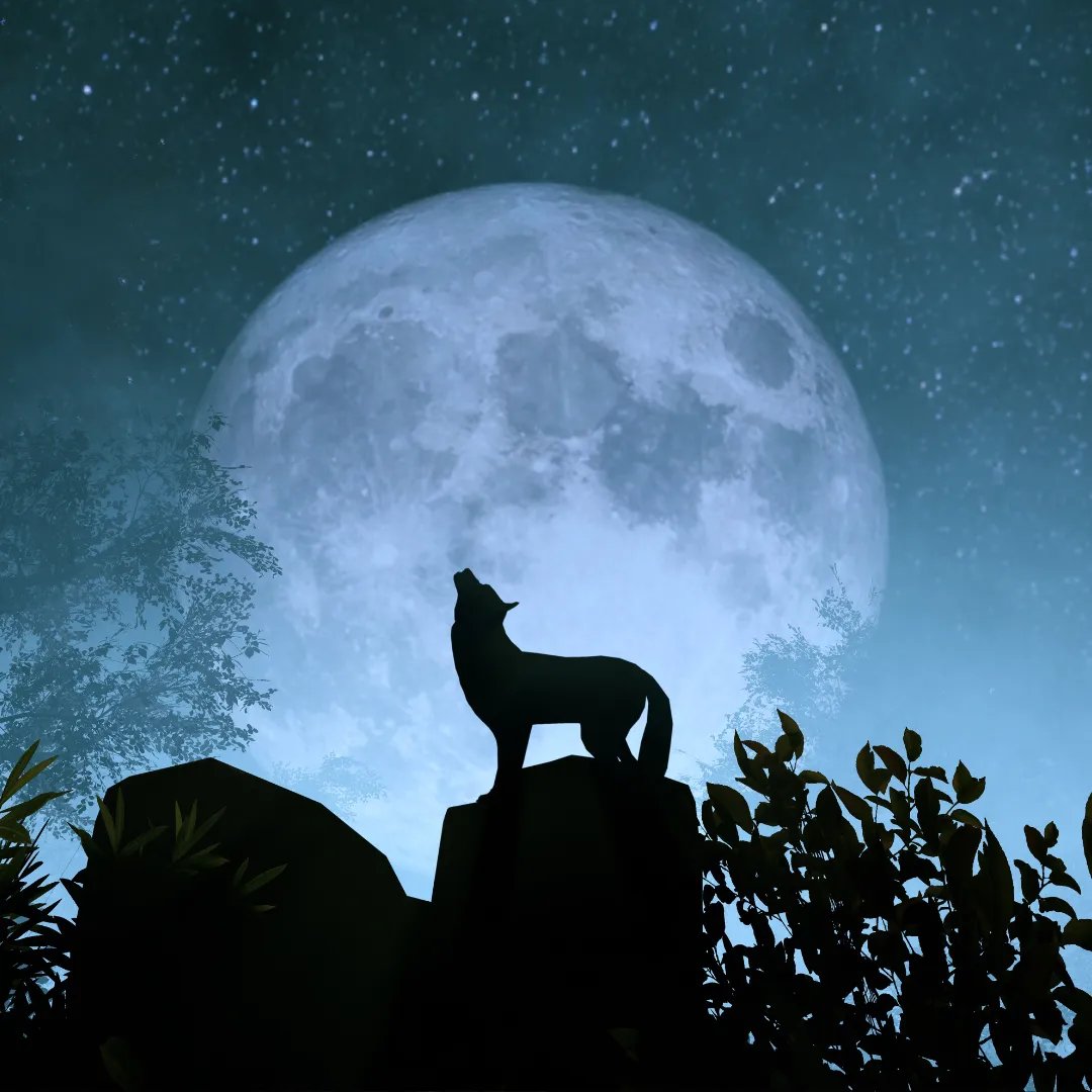 flipster_io's tweet photo. 🌕🐺 Can you guess this crypto-related term?

A howling dog under the moon... 👀 Guess the term in the comments. From all correct entries, 20 winners will be randomly chosen!

1️⃣ Follow @flipster_io
2️⃣ RT this post + tag 3 friends
3️⃣ Comment your answer + #FlipsterWIF

💰 20 winners x 50 USDT each

🗓️ Ends 10 Nov 00:00

Drop your answer below! 👇

3/4