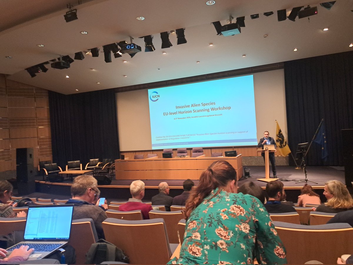 Teun Everts tweet media