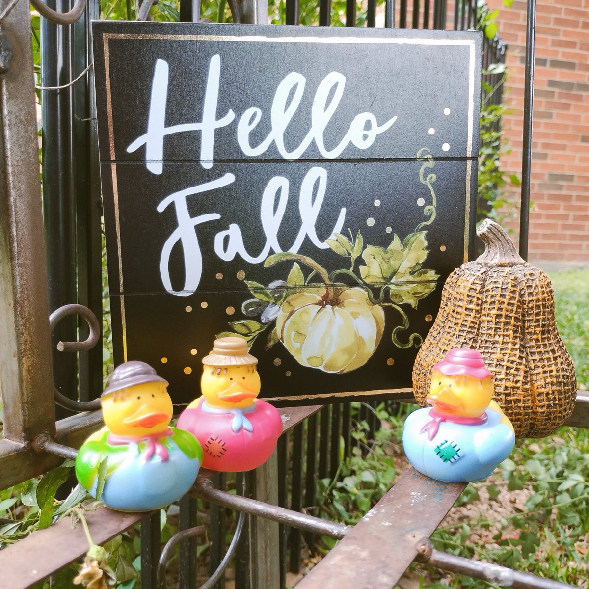 Come see us today in the PD Pond! We're in the Library Training Center until 3:00, with a special collaborative workshop on teaching tools kicking off at 11:00. Stop by, grab a treat bag, and help your department claim the Golden Duck! 🏆🦆 #tarletonfaculty #ceepdpond