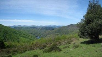 🚶 Visitas autoguiadas: puedes realizar 4 recorridos balizados  que discurren por #Artikutza
➜Sendero de Elizmendi y del antiguo ferrocarril
➜Límites de Artikutza
➜Vuelta al embalse
➜Camino de las ferrerías
👉labur.eus/ArtiAuto

#Donostia #SanSebastian <a href="/DSS_Ingurumena/">DSS_ingurumena</a>