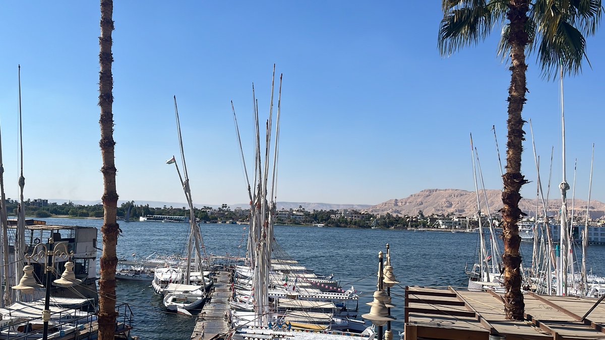 MoBeaDietrich's tweet photo. At the Thebes in the First Millennium BC conference in Luxor which has so far been very interesting (and the Nile is very pretty of course). https://t.co/Y66PpEs3fQ