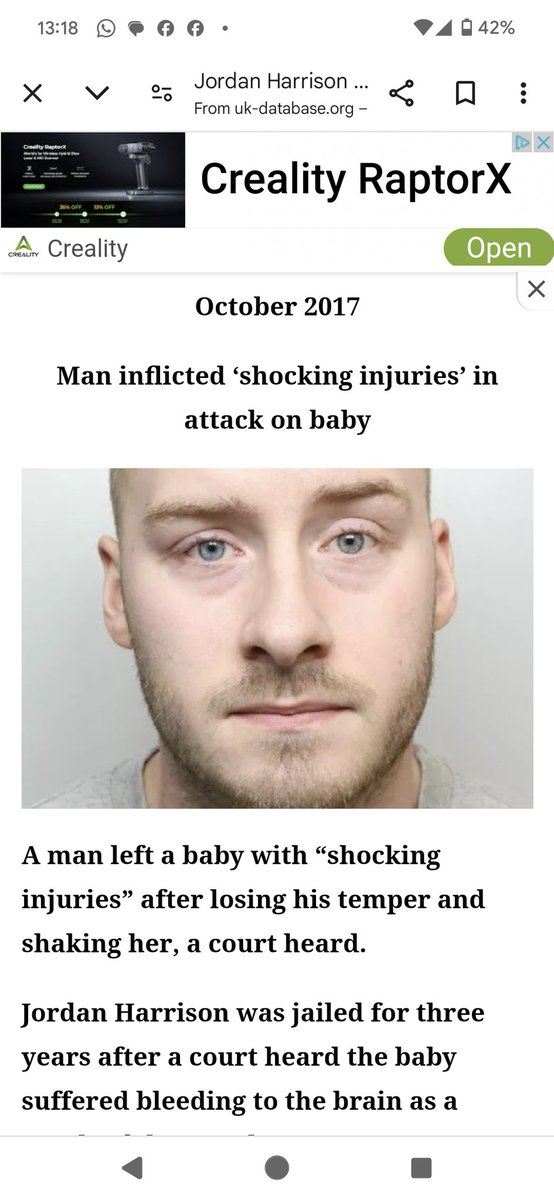 Bryson Bee 🐝🏴‍☠️🐝⚓☠ tweet media