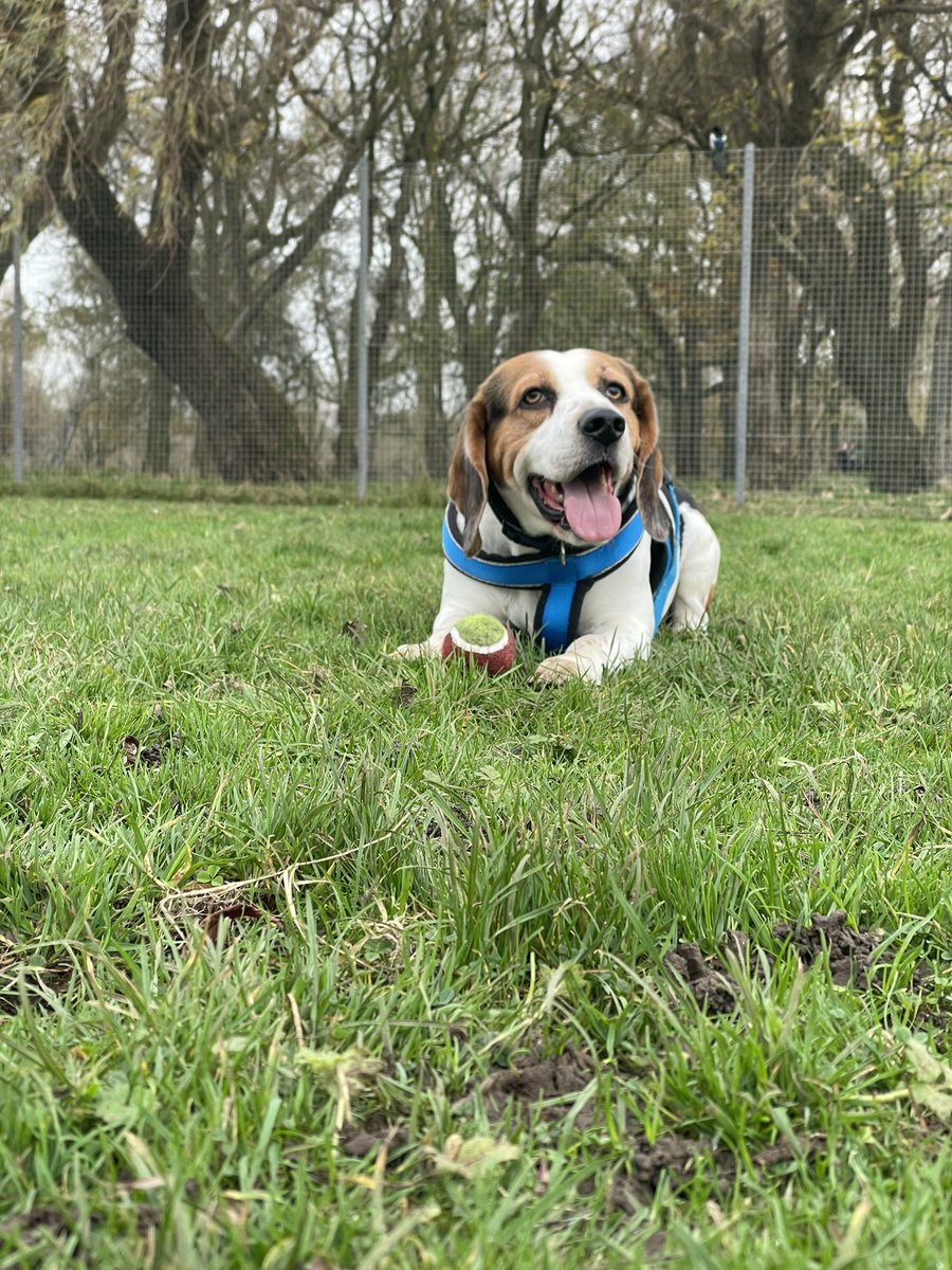 Dylan 🏴 tweet media