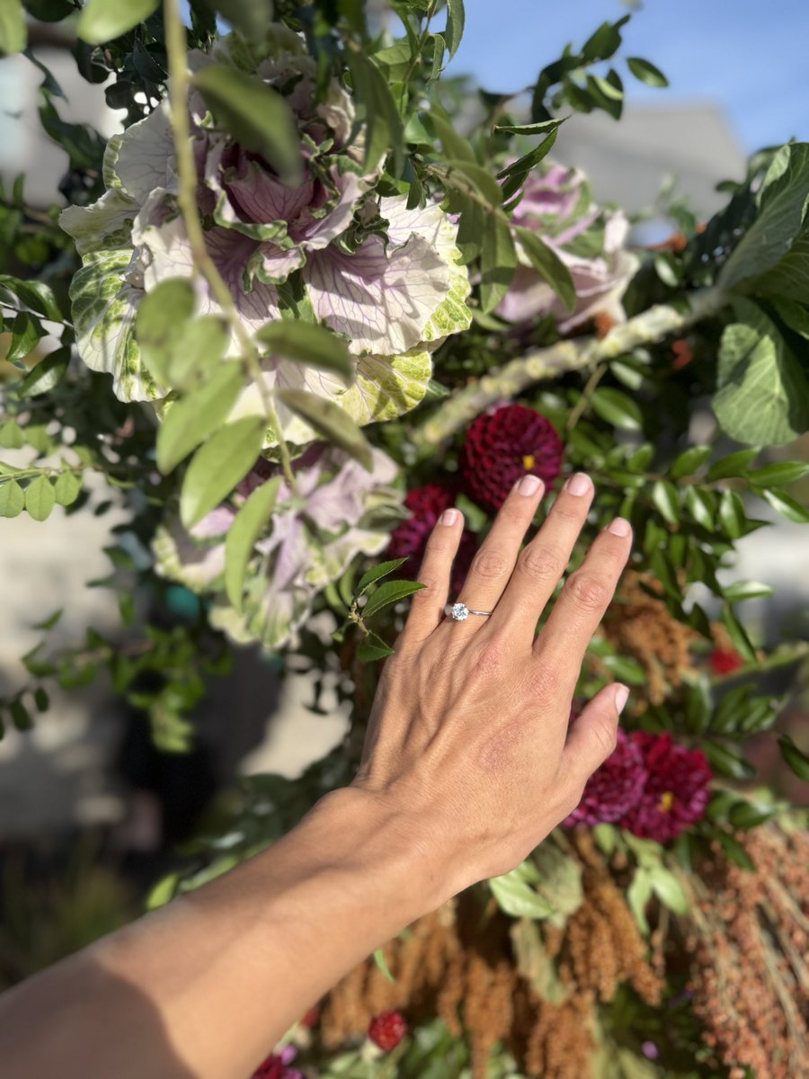 Sarain Fox (@sarainfox) on Twitter photo I’m looking for the goodness in people. Trying to keep my faith in humanity. Were you on flight <a href="/AirCanada/">Air Canada</a> 930 on Nov 4th to Cancun. Did you find my engagement ring? My heart is broken! I’m praying it finds its way back to me. Can you answer my prayers? Thank you in advance! 💍💍 I’m looking for the goodness in people. Trying to keep my faith in humanity. Were you on flight <a href="/AirCanada/">Air Canada</a> 930 on Nov 4th to Cancun. Did you find my engagement ring? My heart is broken! I’m praying it finds its way back to me. Can you answer my prayers? Thank you in advance! 💍💍