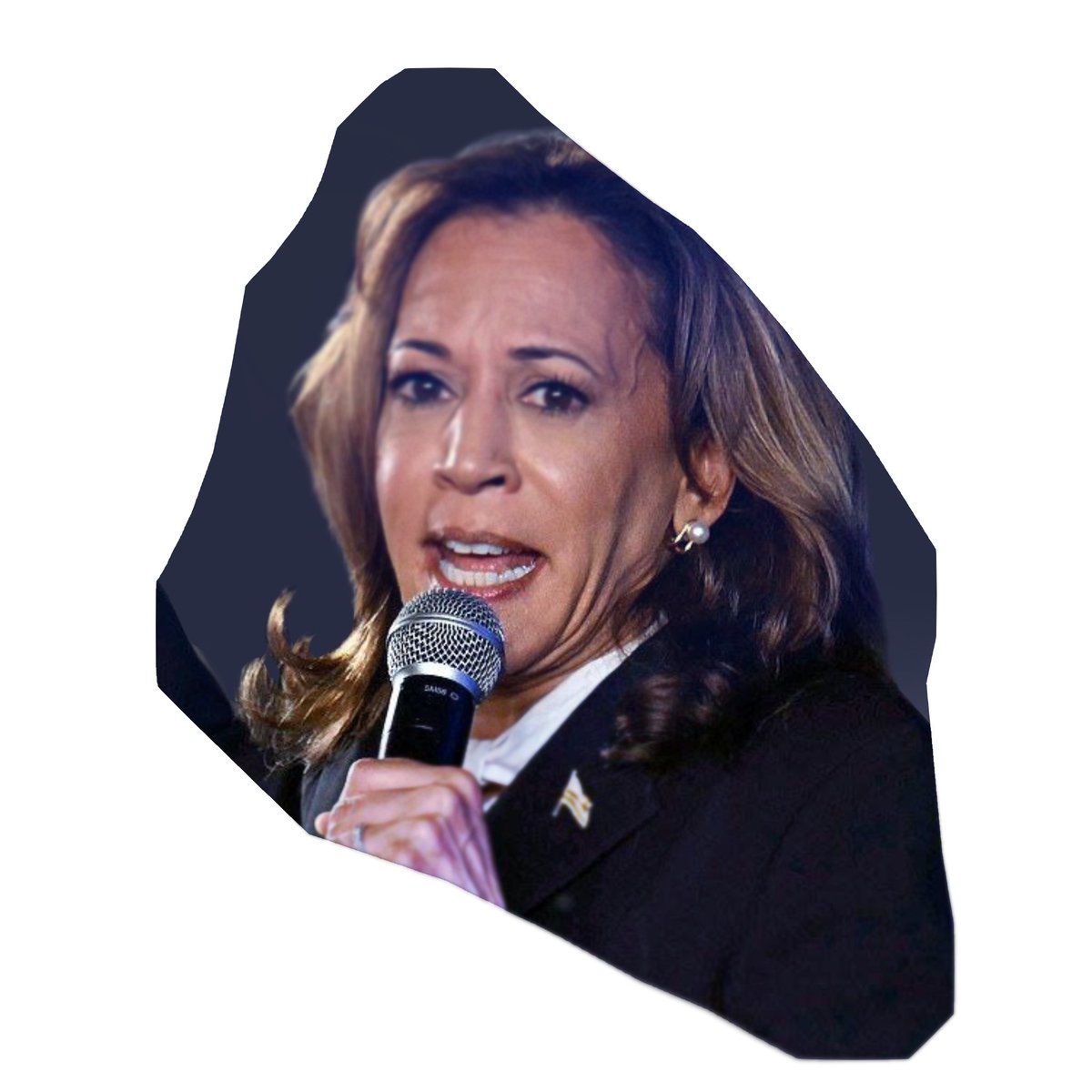 S0ULGLAD's tweet photo. kamala harris Eidolons 
(4/5) 
+ in replies 1st https://t.co/EddJdl2mdY