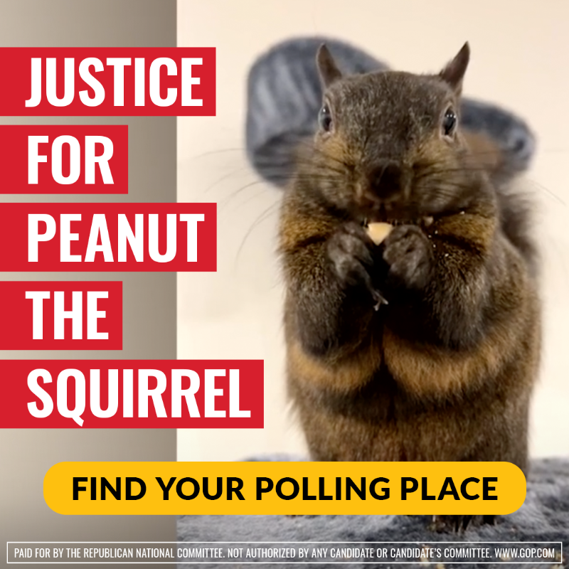 Republicans's tweet photo. 🛑 FINAL VOTER NOTICE 🛑

We need your Republican Vote!

Your FINAL opportunity to get out &amp; vote for Pres. Trump in WI.

Don't waste any time. 

Make a plan to vote Republican NOW!