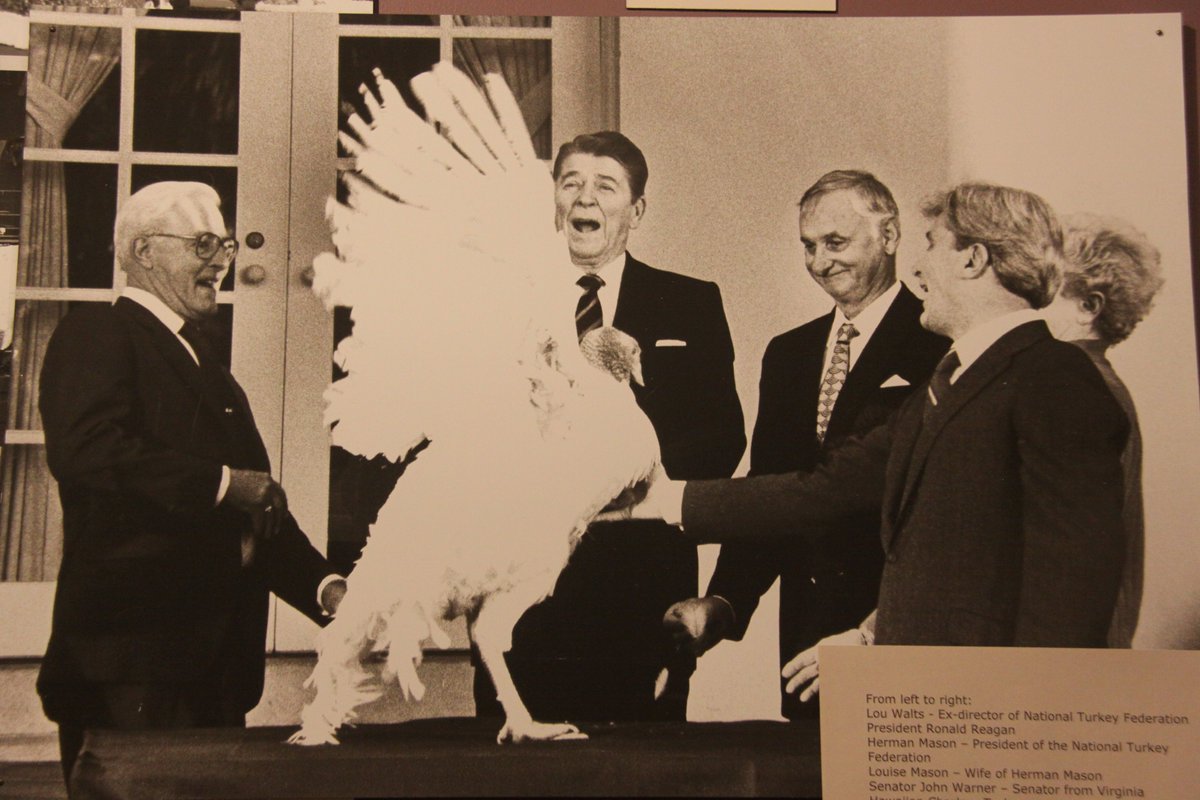 TBT 1980's- Lou Watts and Herman Mason present Ronald Reagan with the Presidential Turkey to be pardoned! Also pictured are Mrs. Louise Mason and Senator John Warner.