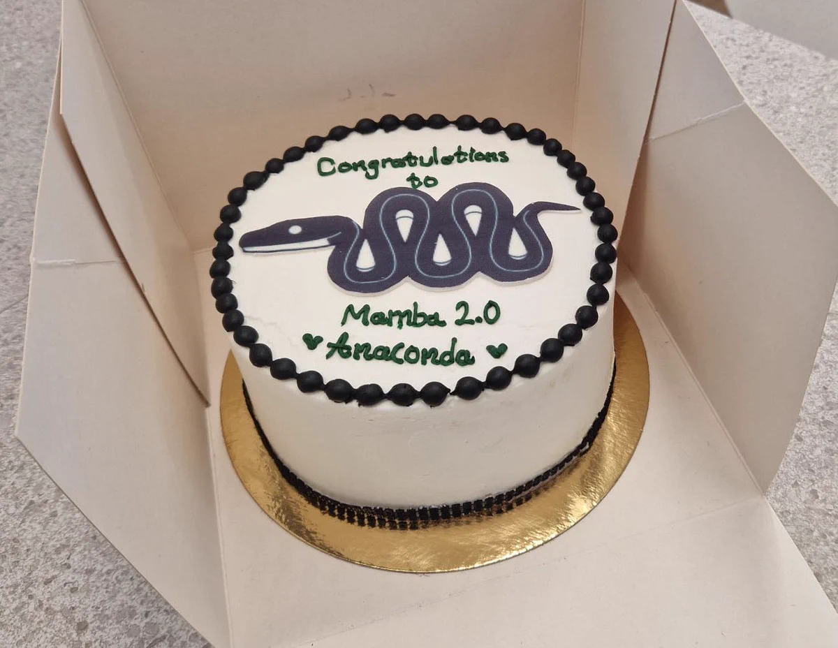 Picture of the cake that was delivered to QuantStack.

The icing on the cake has the caption "Congratulations to Mamba 2.0, Anaconda".
