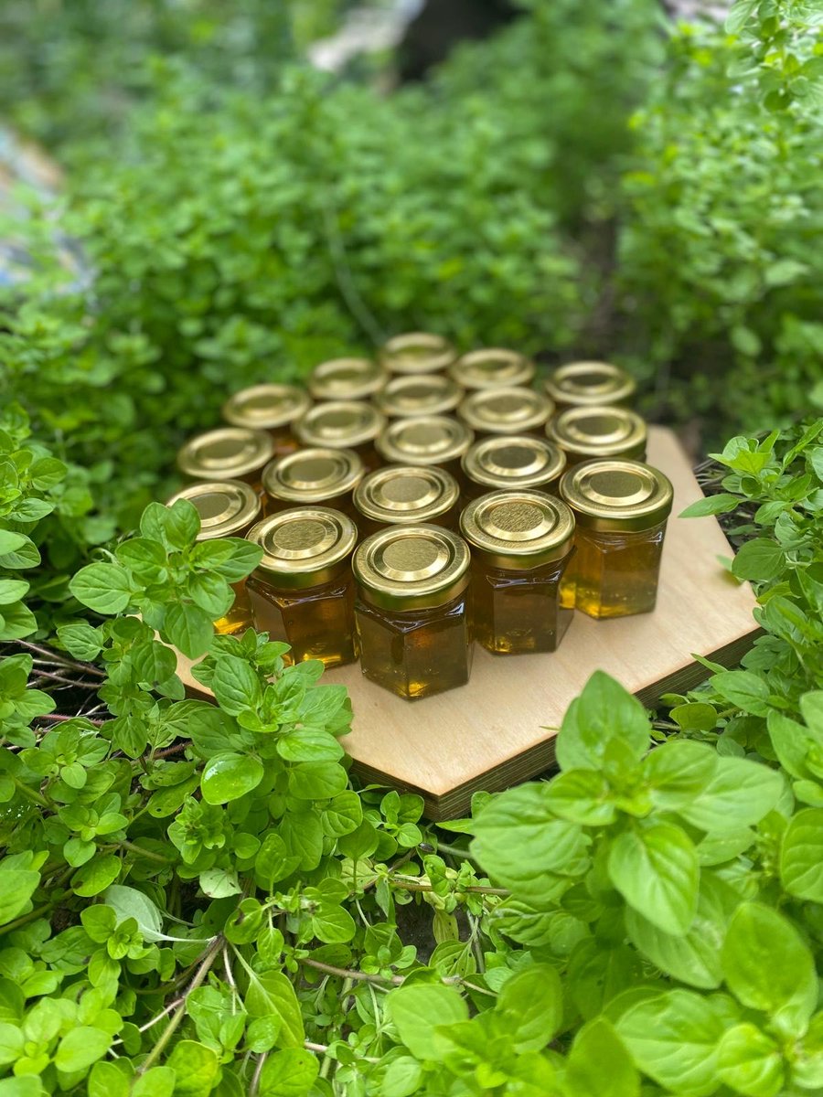 🍯 #InclusionSummit24 dessert special: fig tartlet with honey-infused ricotta, made with honey harvested onsite at The O2’s apiary. Introduce by <a href="/BeeUrbanLondon/">Bee Urban</a>, community beekeeping does wonders in helping the urban environment thrive. Truly, the bees' knees dessert