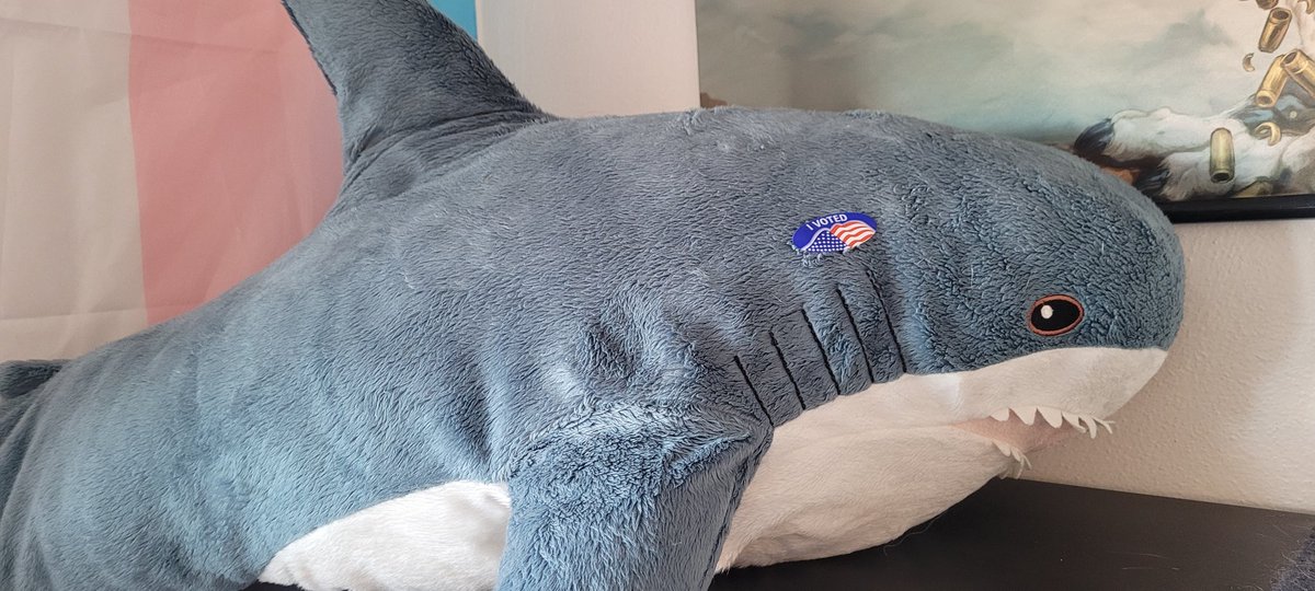 Shane🏳️‍⚧️ tweet media