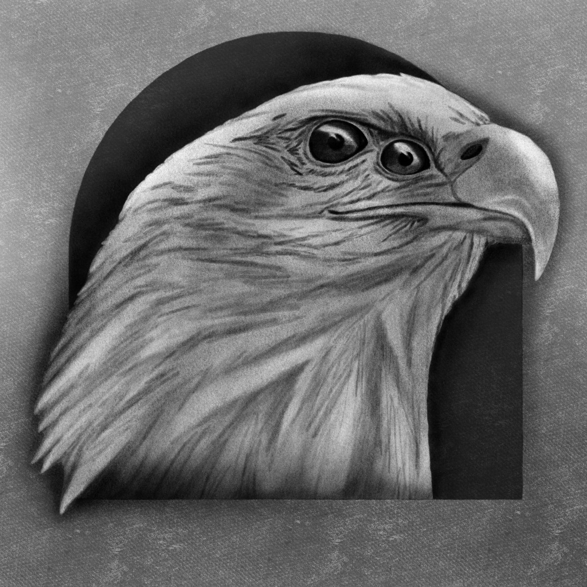 Anmark 👁️ tweet media