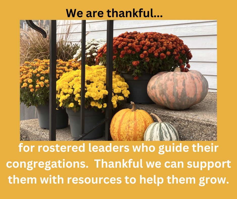 24 11 05 - Thankful Tuesday bit.ly/4fA314a