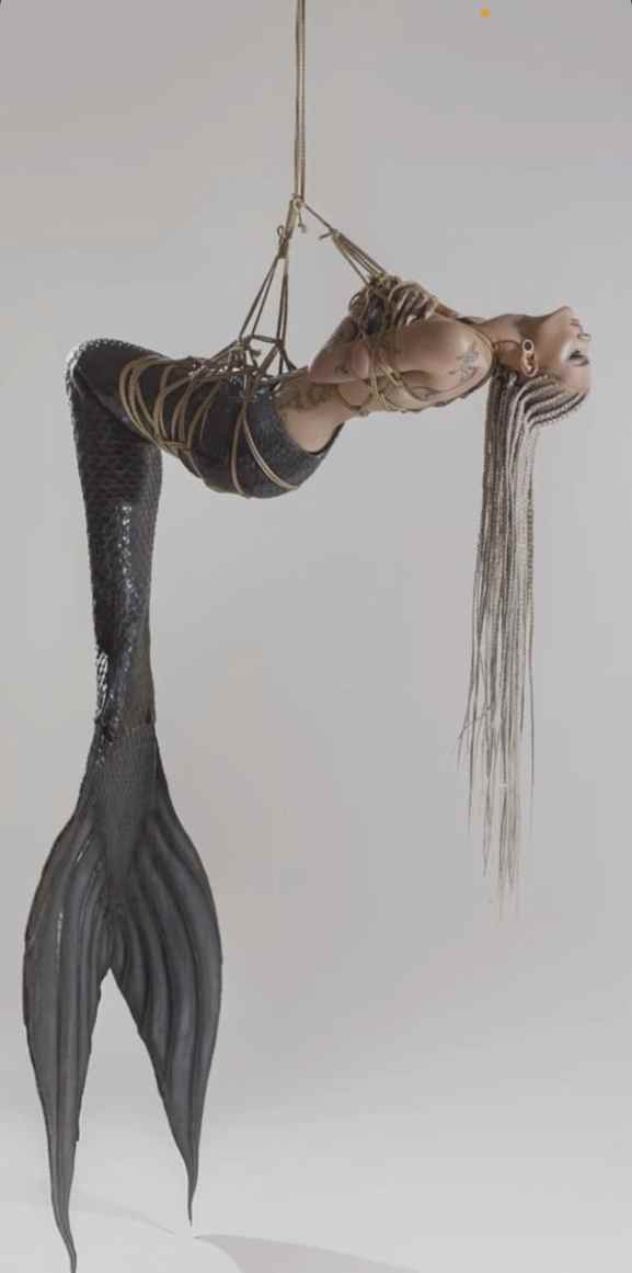 هل أنت مستعد لسماع عن Canal KassXD؟