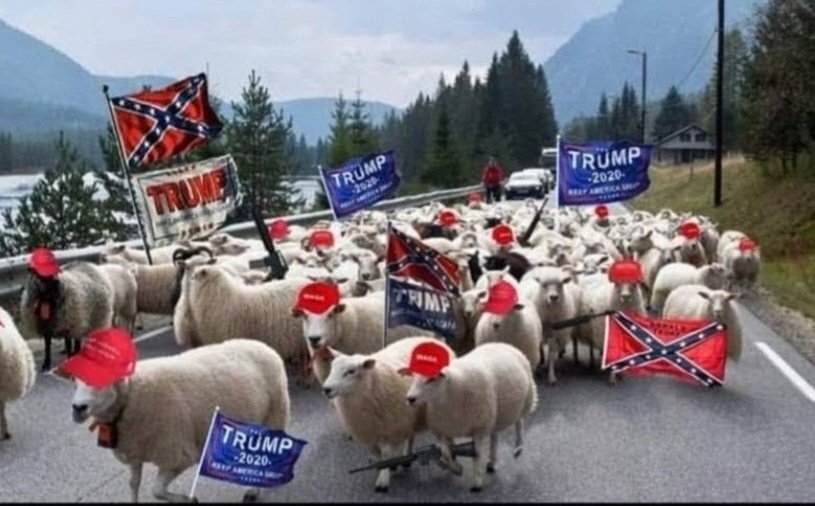 Drain the traitors... tweet media