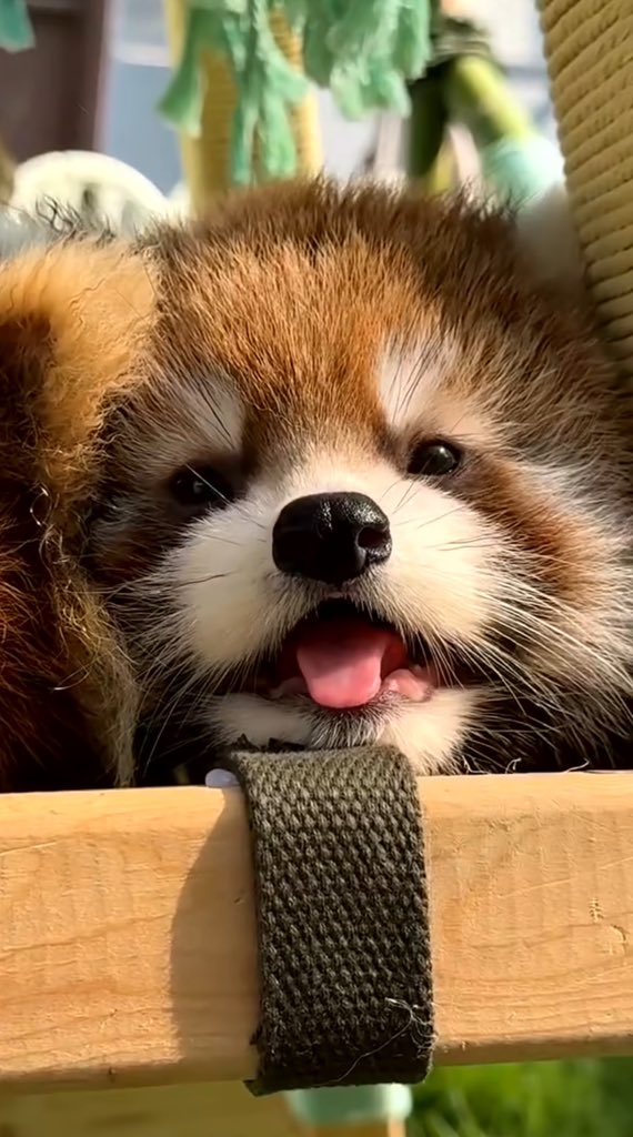 Hola! 

Buen inicio de semana.