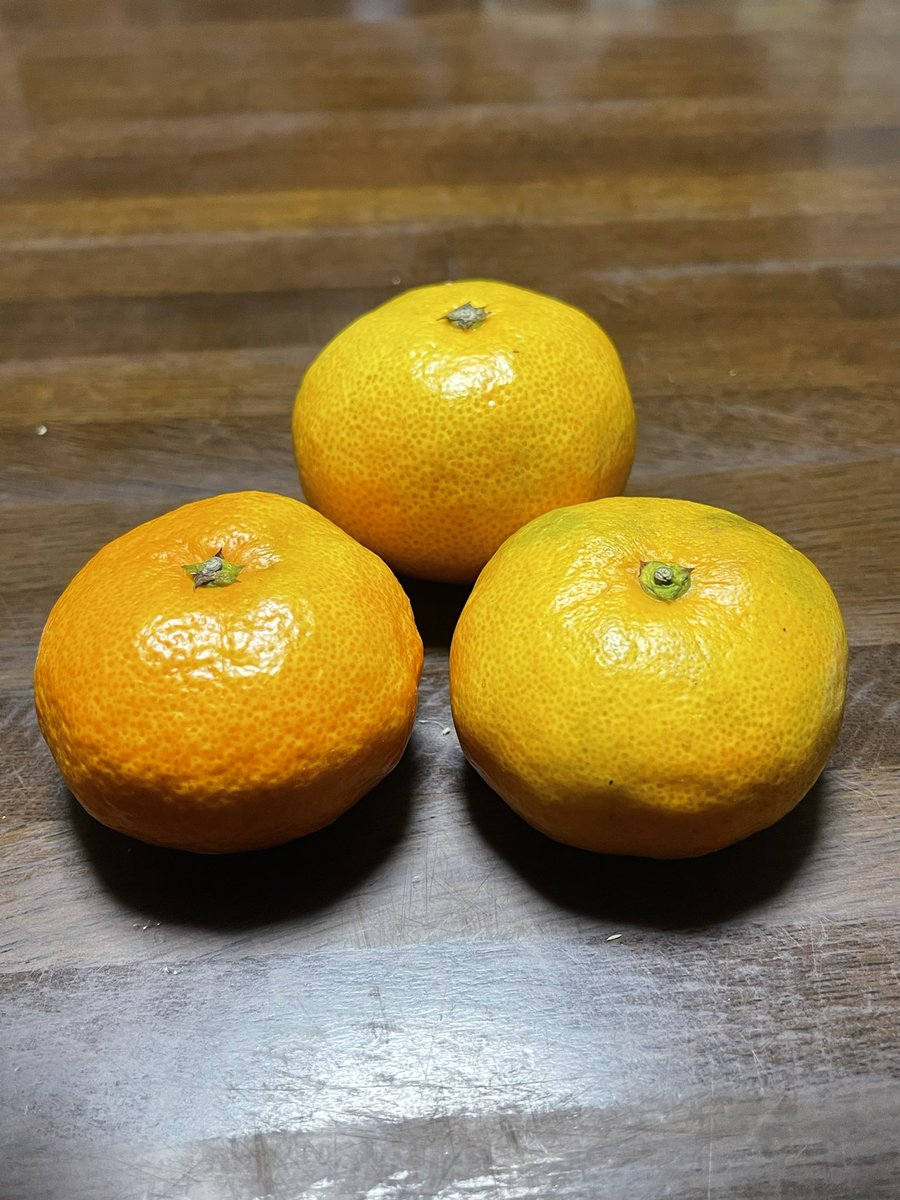 千両役者」という温州みかん 買ってみた！ 調べたら品種名は石地（いし