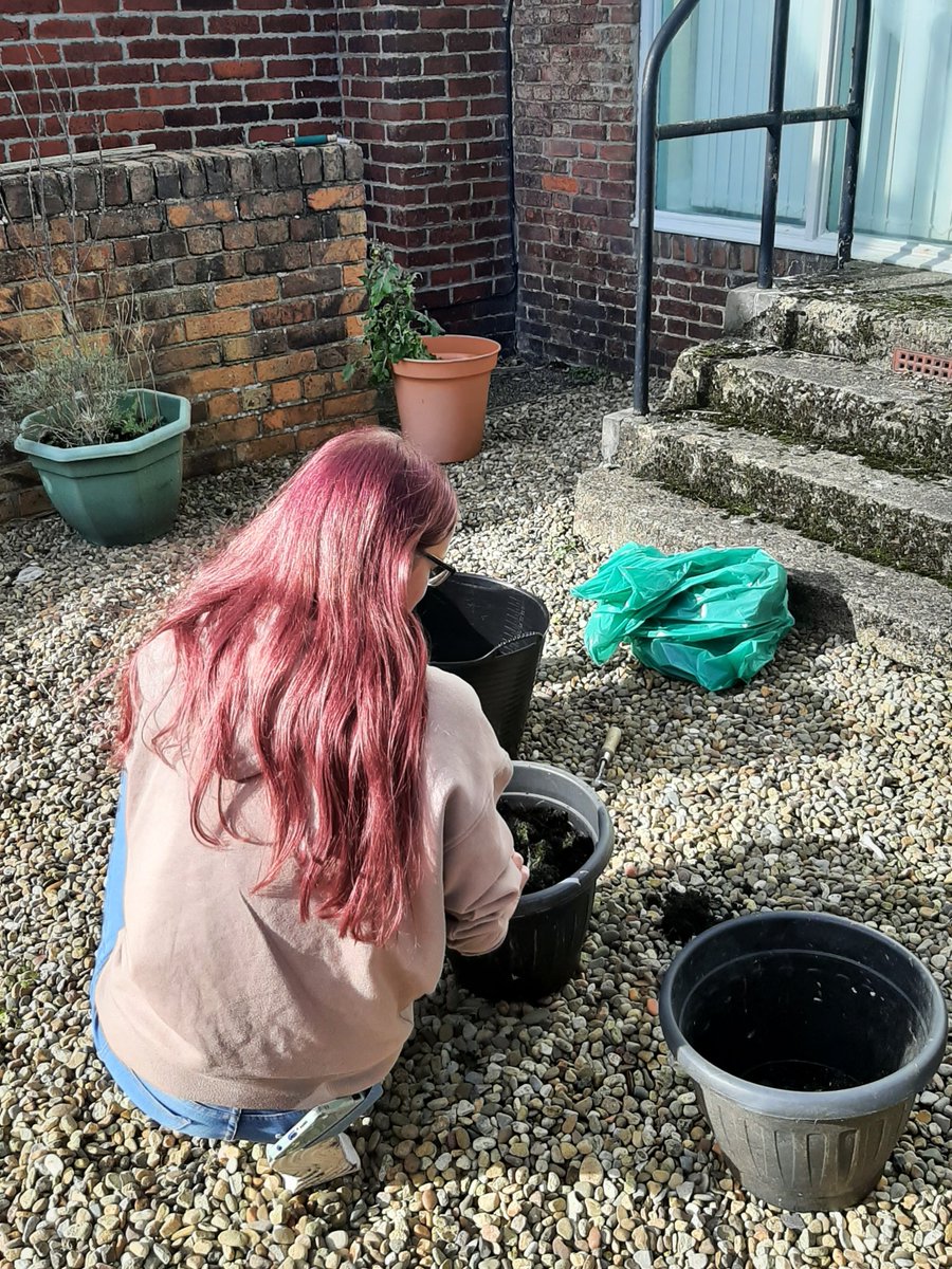 After a very successful first co-production SASH that we hosted at the end of August, we recently hosted our second one with a handful of our Young People.

Please click here to read all about what we got up to! - sash-uk.org.uk/2024/11/05/the…

#coproduction #youngpeople #charity
