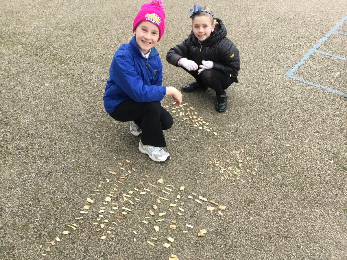 St Fergus School tweet media