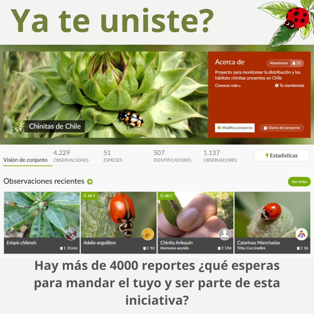 iNaturalist es una plataforma de ciencia ciudadana que permite a los usuarios identificar la biodiversidad a su alrededor, compartir sus observaciones y crear datos de ciencia ciudadana, datos que se han utilizado en diversos artículos científicos.
