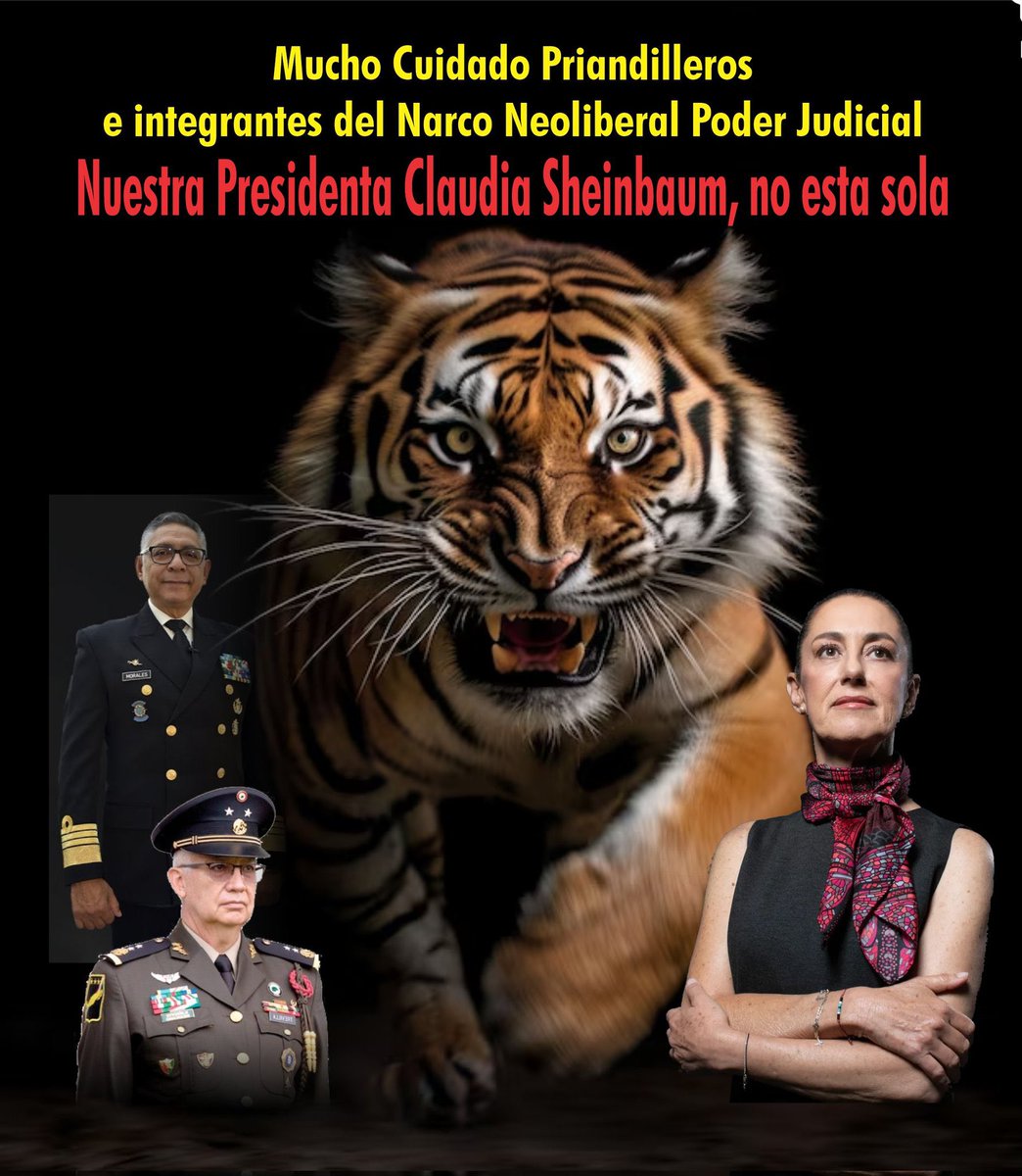 mari_lulo's tweet image. #reformaalpoderjudicialva y estamos listos para lo que sea. ¡Nada ni nadie por encima del pueblo!