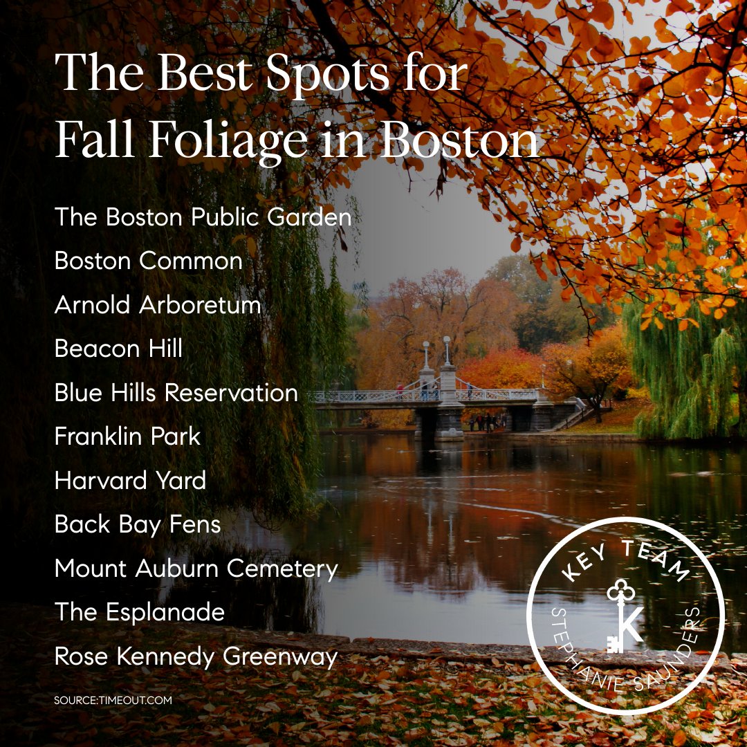 teambostonhomes's tweet photo. Where to see Boston’s best fall foliage? 🍂 We’ve rounded up the top spots for colorful autumn views around the city. #BostonInFall #FallFoliage #LeafPeeping #SellYourHouseWithSteph https://t.co/hUGruAf2YT