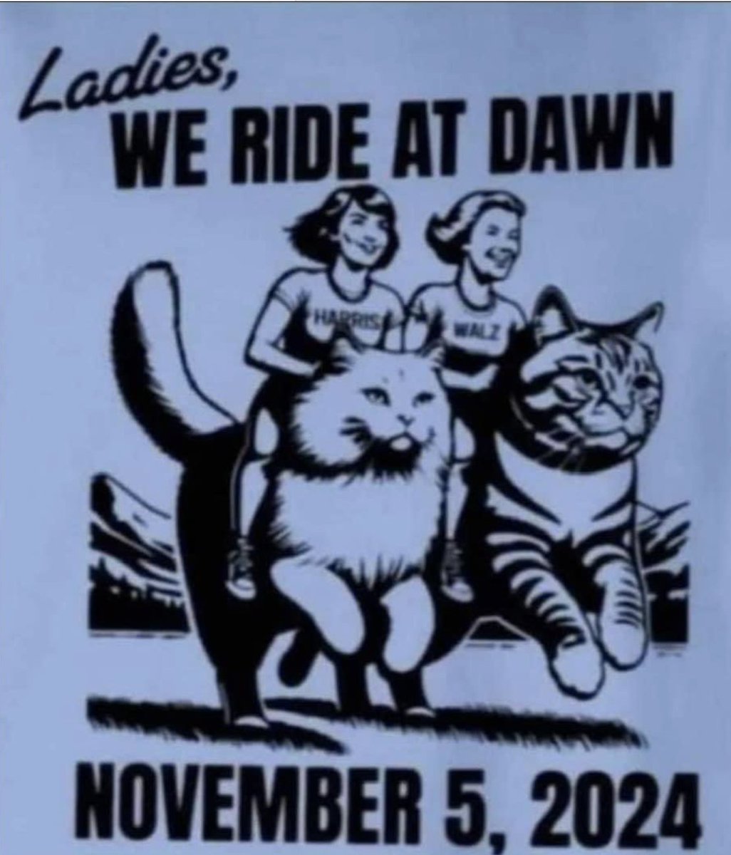 girlsreallyrule's tweet image. Let's ride, cat ladies. ❤️