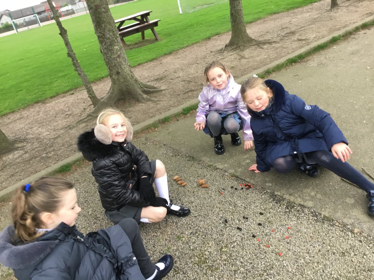 St Fergus School tweet media