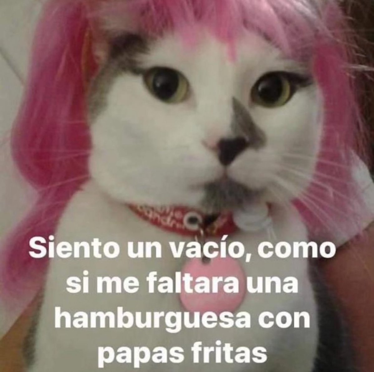 piña sin pizza (@skereunpesado) on Twitter photo 