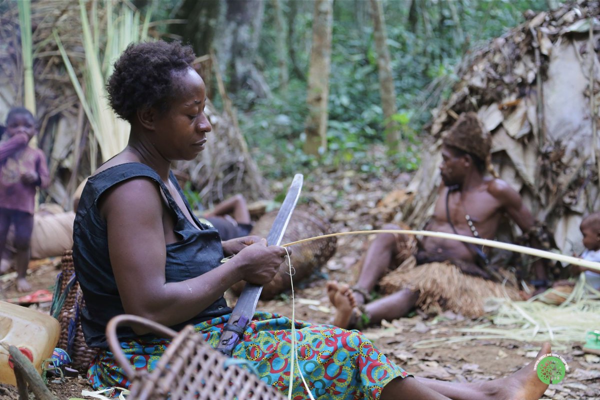 ALLIANCE GSAC tweet media