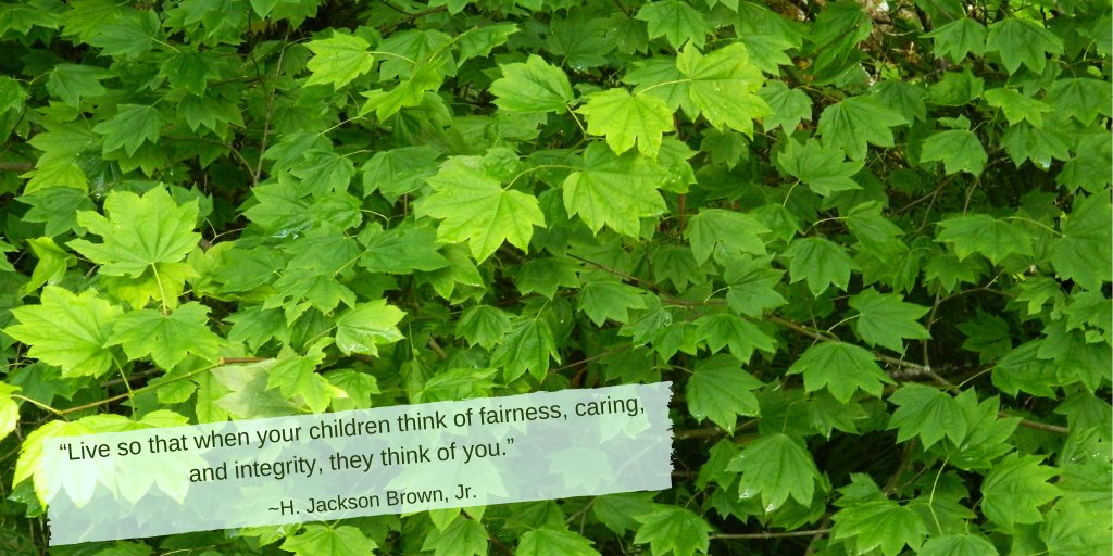 “Live so that when your children think of fairness, caring, and integrity, they think of you.” ~H. Jackson Brown, Jr. #Vote2024 #ChooseKindness #KindnessMatters amzn.to/2STbrcK