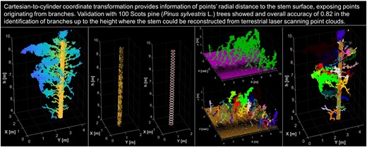 Forestry - An Int. Journal of Forest Research (@forestry_oup) on Twitter photo Assessing tree architecture using terrestrial laser scanning 🌲
<a href="/TuomasYrttimaa/">Tuomas Yrttimaa</a> et al. developed a point cloud processing method for identifying and segmenting branches of Scots pine trees which can be useful for assessments on biomass or wood quality.
🔗doi.org/10.1093/forest… Assessing tree architecture using terrestrial laser scanning 🌲
<a href="/TuomasYrttimaa/">Tuomas Yrttimaa</a> et al. developed a point cloud processing method for identifying and segmenting branches of Scots pine trees which can be useful for assessments on biomass or wood quality.
🔗doi.org/10.1093/forest…