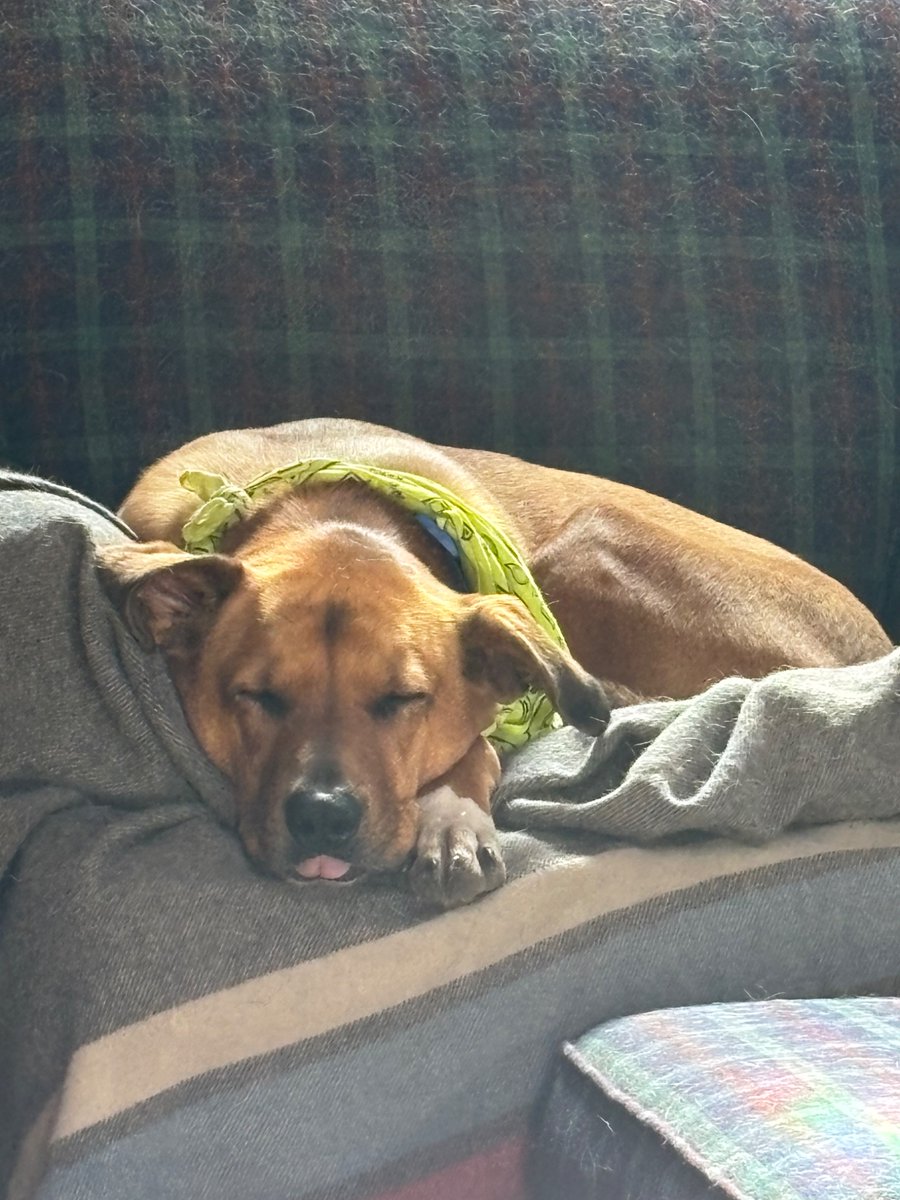 Hatie Parmeter (she/her) tweet media