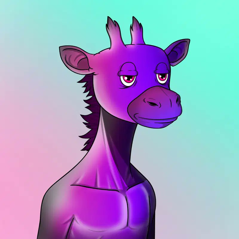 DC_Purp's tweet photo. It's Tuesday!!!
#NFTFlextime with @IRLalgo and the Gang!
I PRESENT: 
The Purp Gang from @GraffeAlgorand 
@Bfranklin406 running things now!
Get on board or GF! https://t.co/hgHf1FMu4G