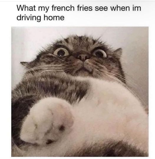 ALPacaUrfudge's tweet photo. #TheRightChoiceToMake is the freedom to eat my Freedom Fries before I get home. https://t.co/GDzSrzgUhn