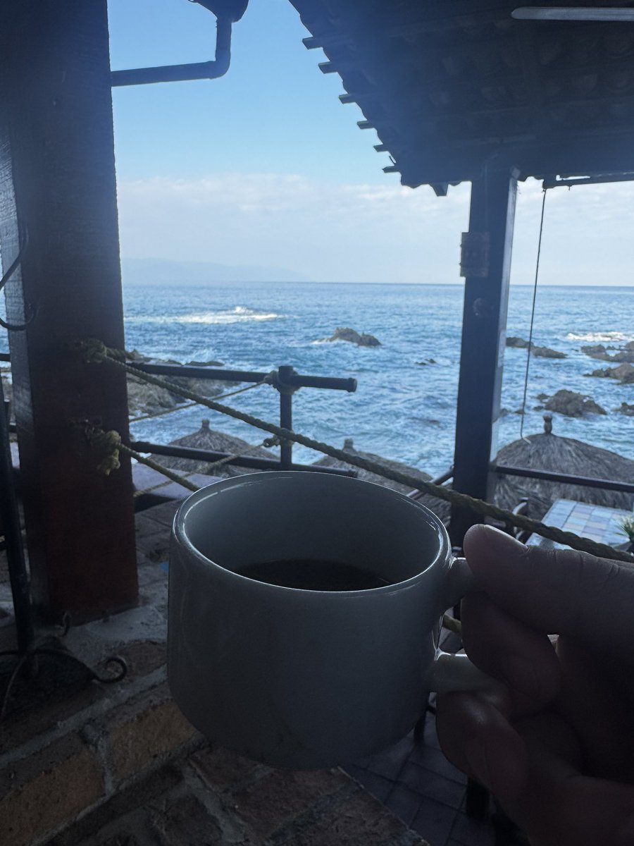 WriterEWS's tweet photo. Happy election day! Enjoying my cup of coffee from Puerto Vallarta, Mexico. I sent my ballot in early this year before my trip!
Ensure you do your civic duty and vote! No matter who for, vote, to fulfill our democracy and power! 🇺🇸 https://t.co/ra66LZZwJx