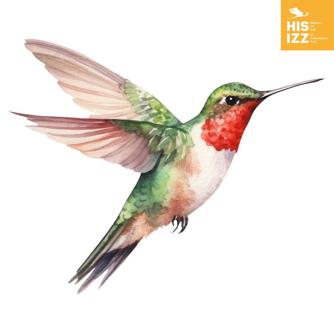 Kolibrie Glas-in-lood Suncatcher Kolibrie Geschenken Vogel Raamdecoratie -  Nederland, image size:1080x1080