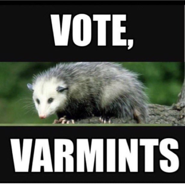 tate_ohmer's tweet photo. Go do it if you haven’t already! https://t.co/eLoattSlUl