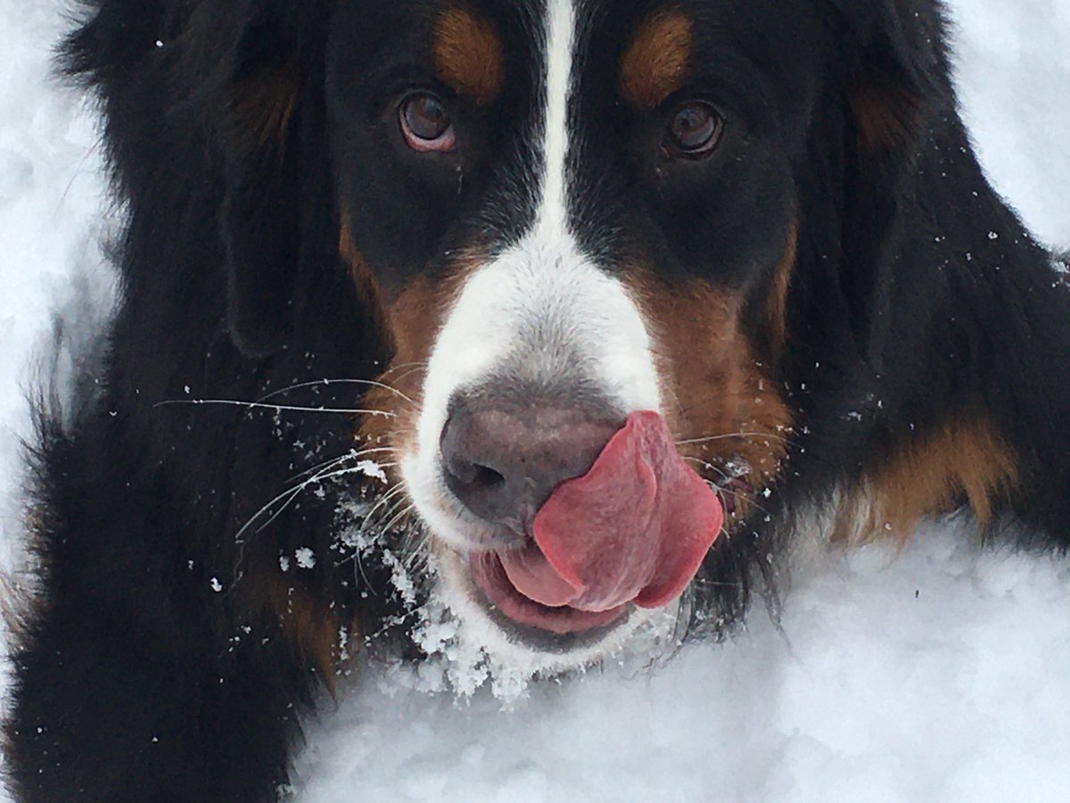 Amy O'Connor tweet media