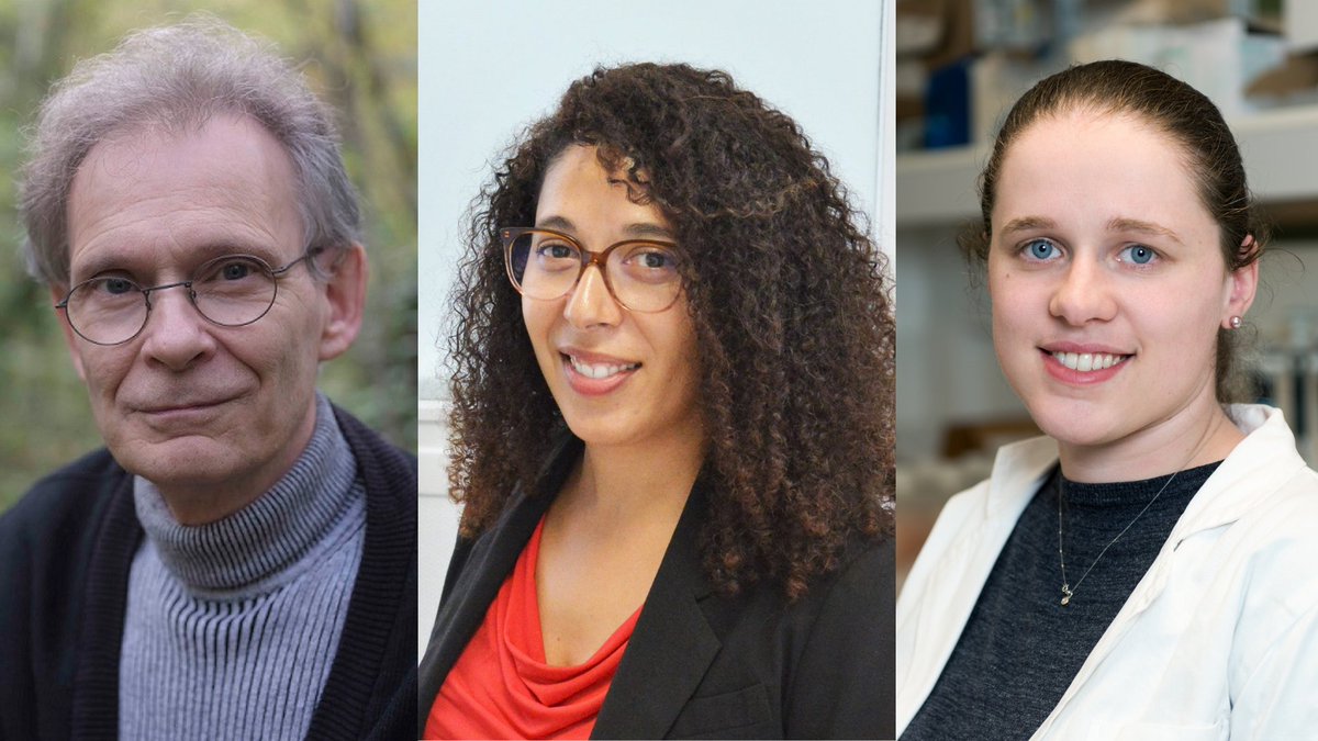 💡 A l’approche de la Journée mondiale de l’inventeur le 9/11, l’Institut Curie met à l'honneur l'esprit d’innovation de ses collaborateurs.

Découvrez le parcours de 2 chercheurs et l'accompagnement dont ils bénéficient pour faire éclore leurs inventions :presse.curie.fr/a-linstitut-cu…