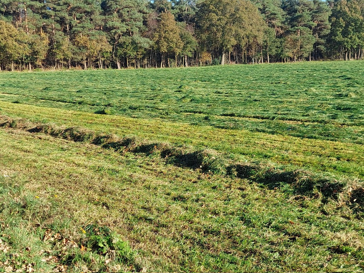 Henri Bouwmeester tweet media