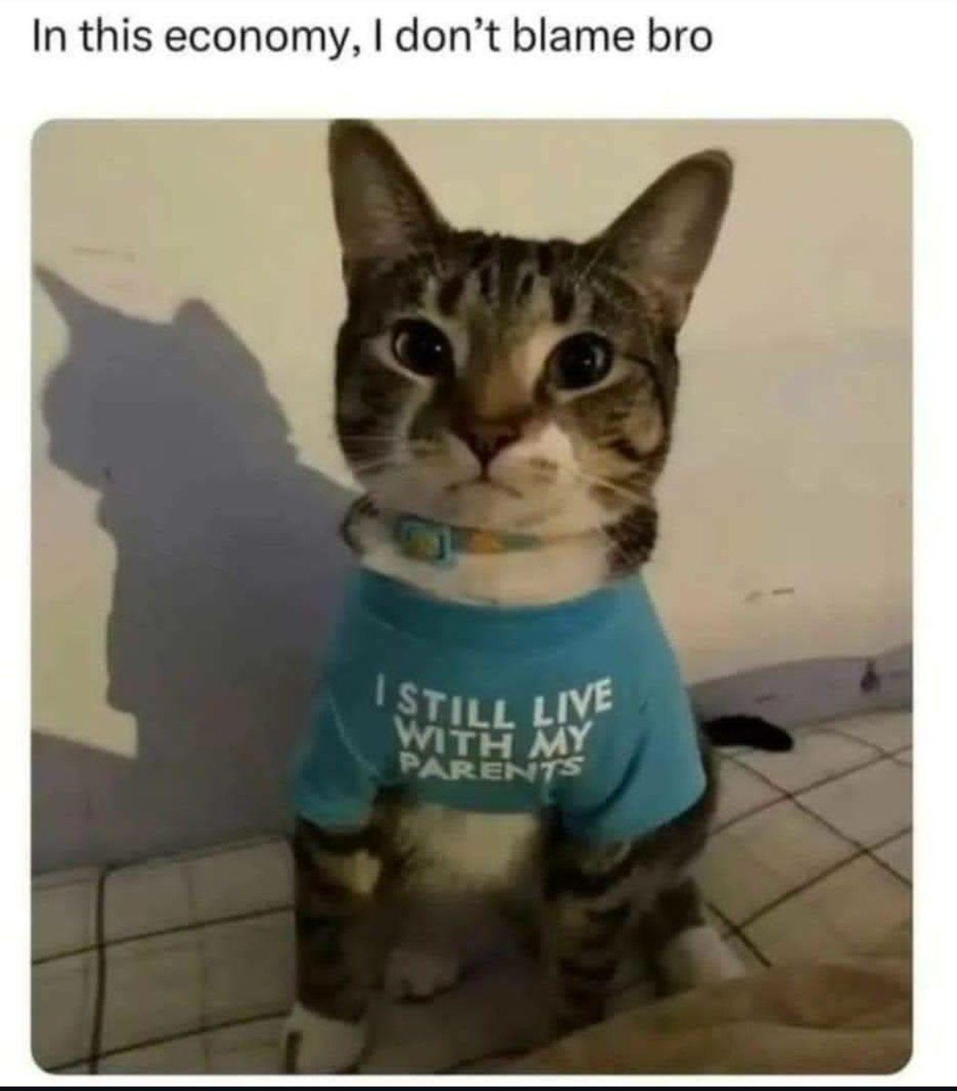 contents that ll heal your depression 🌻 (@catshealdeprsn) on Twitter photo 