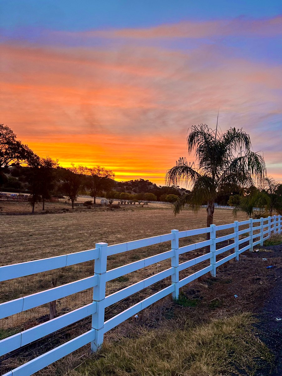 Dr. Sara Thomasy (she/hers) tweet media