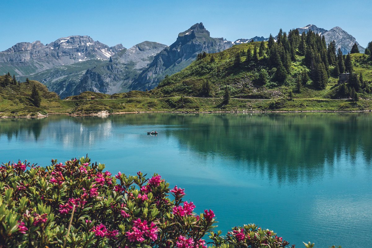 BethFratesMD's tweet photo. When we live life with authenticity, we 
thrive no matter where we are 
or what we are doing. 
Authenticity creates 
the environment
for flourishing.
🙏😊💐
🦋🌸
☀️

#TuesdayThoughts #TuesdayMotivation #Authenticity #JoyTRAIN #Happiness https://t.co/LGk11Nidd0