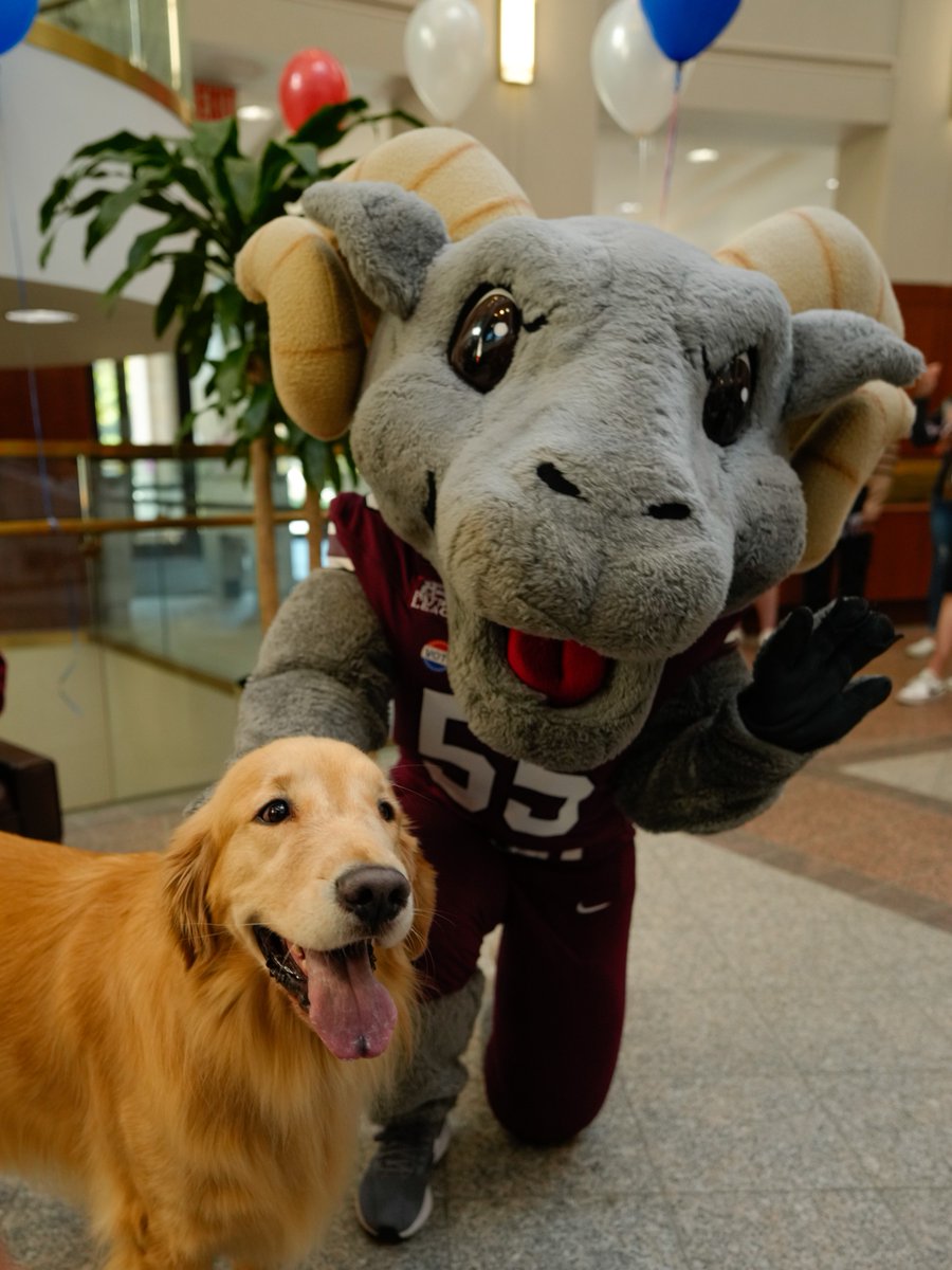 Happy Election Day, Rams! Make sure to go out and vote! 🇺🇸 🐏 
--
#ElectionDay #Vote #Election2024