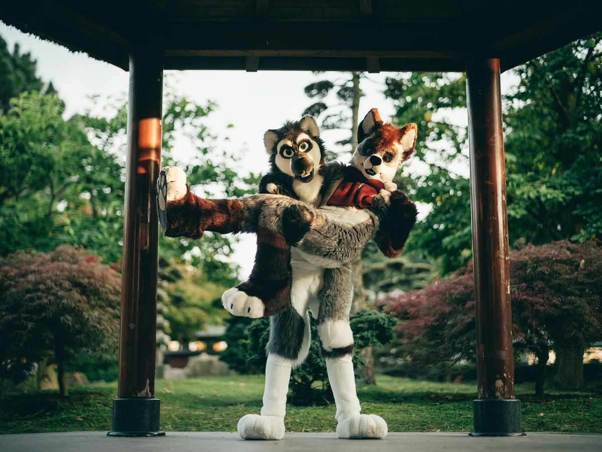 Certified uppies giver

🦊<a href="/Colin_Foxy/">colinfox.bsky.social</a> 
📷<a href="/SyndraFox/">Syndra</a>